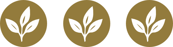 epm_ blatt_kreis_3x